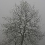 IMG_3701