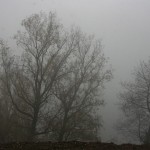 IMG_3709