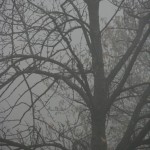 IMG_3712