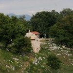 BMG_ (069)