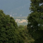 BMG_ (070)