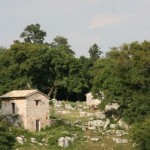 BMG_ (073)