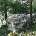 BMG_ (074)
