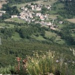 BMG_ (095)