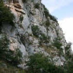 IMG_0497