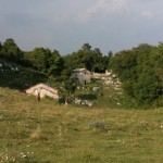 IMG_0520