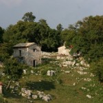 IMG_0526