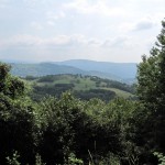 IMG_1370