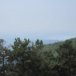 IMG_1377