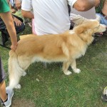 IMG_1411