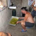 IMG_1422