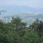 IMG_1491