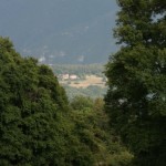 IMG_b0094