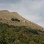 IMG_1134