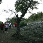 IMG_1416