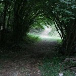IMG_1432
