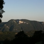 IMG_1451