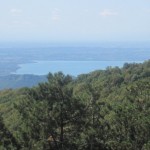 IMG_1550