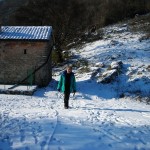 DSCN1741