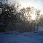 DSCN1756