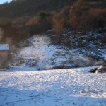 DSCN1757