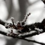 IMG_4413