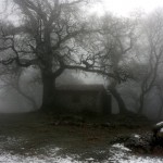 IMG_4476