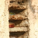 IMG_4718