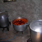 DSCN2184