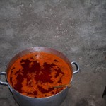 DSCN2185