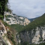 IMG_2203