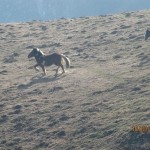 IMG_2321