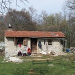 IMG_0011-001