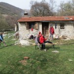 IMG_0019-001