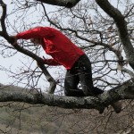 IMG_0027-001