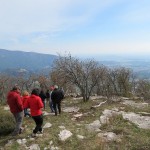 IMG_0031-001