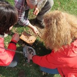 IMG_0040-001