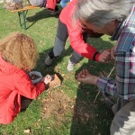 IMG_0041-001