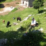 DSCN2028