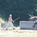 IMG_0019
