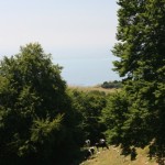 IMG_0045