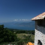 IMG_0049
