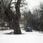 IMG_1633