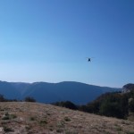 SAM_0616