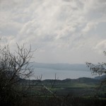 IMG_1196