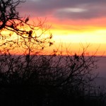 IMG_4018