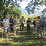 CONCERTO MONTE BALDO CENGEI 20-9-2015 038