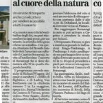 Rassegna stampa (2)_Pagina_03