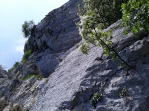 20180506_093056