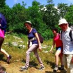 vlcsnap-2019-07-10-17h24m07s101